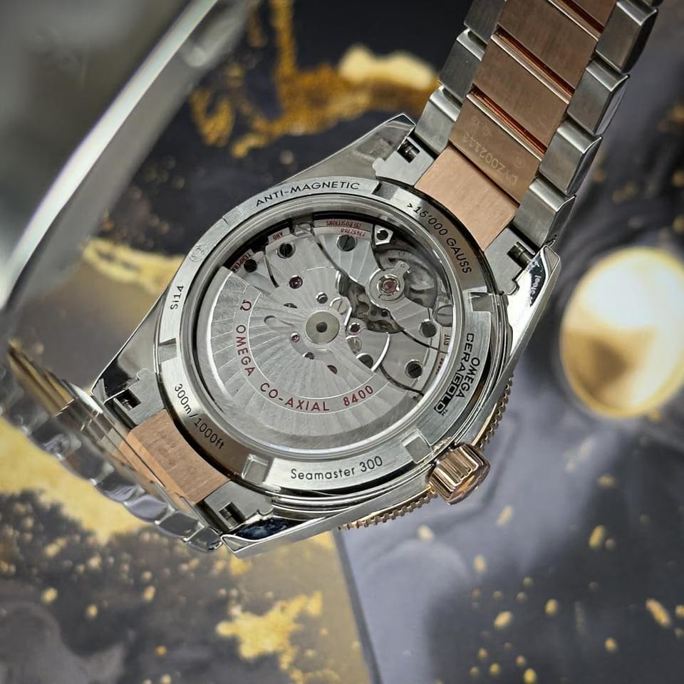Omega Seamaster 300233.20.41.21.01.001