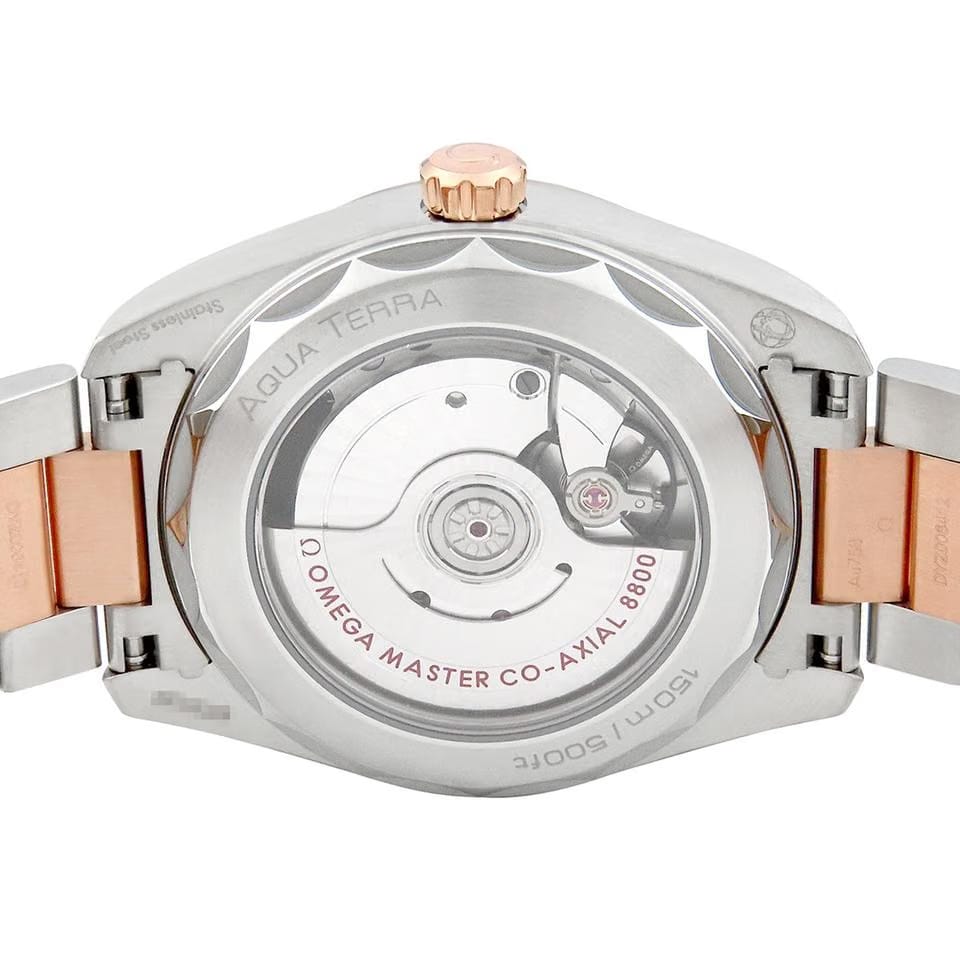 Omega Seamaster Aqua Terra Watches 220.20.38.20.55.001 Seamaster Aqua Terra 150 M