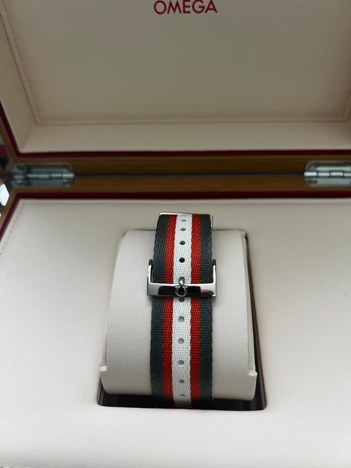 Omega Seamaster Planet Ocean Chronograph600 M 45.5m 215.32.46.51.99.001