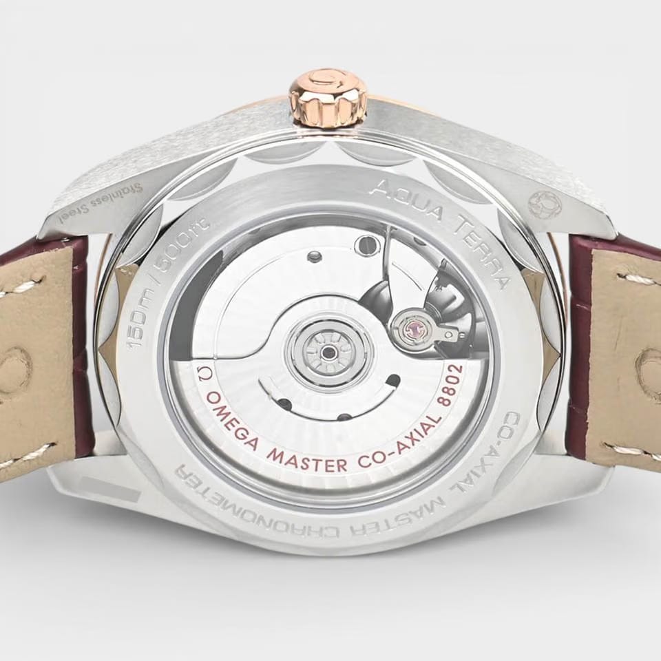 Omega Seamaster Aqua Terra Steel&Sedna gold / 38 mm / 220.23.38.20.59.001