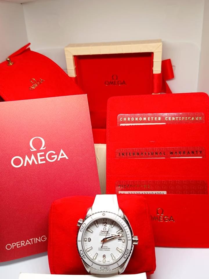 Omega Seamaster Planet Ocean600m 39.5mm acciaio su cinturino pelle