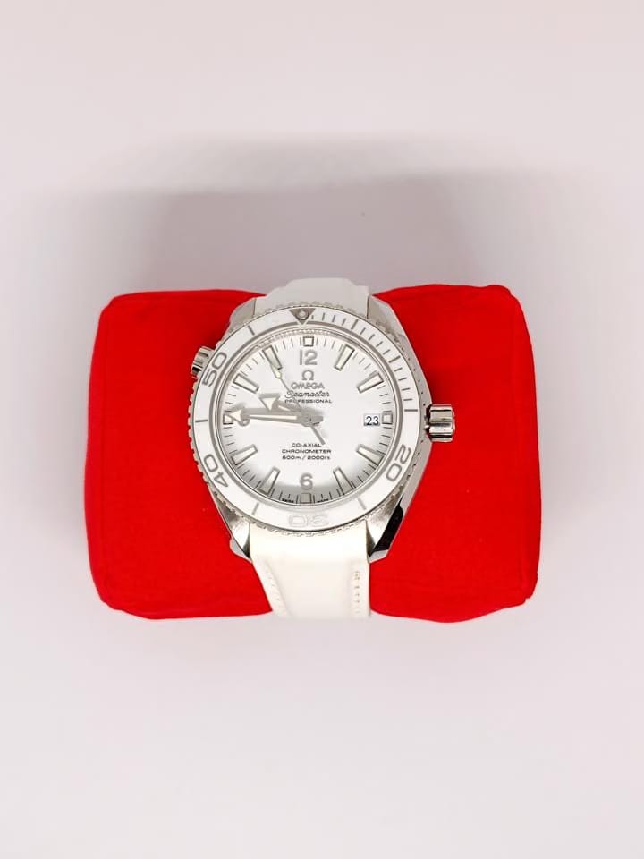Omega Seamaster Planet Ocean600m 39.5mm acciaio su cinturino pelle