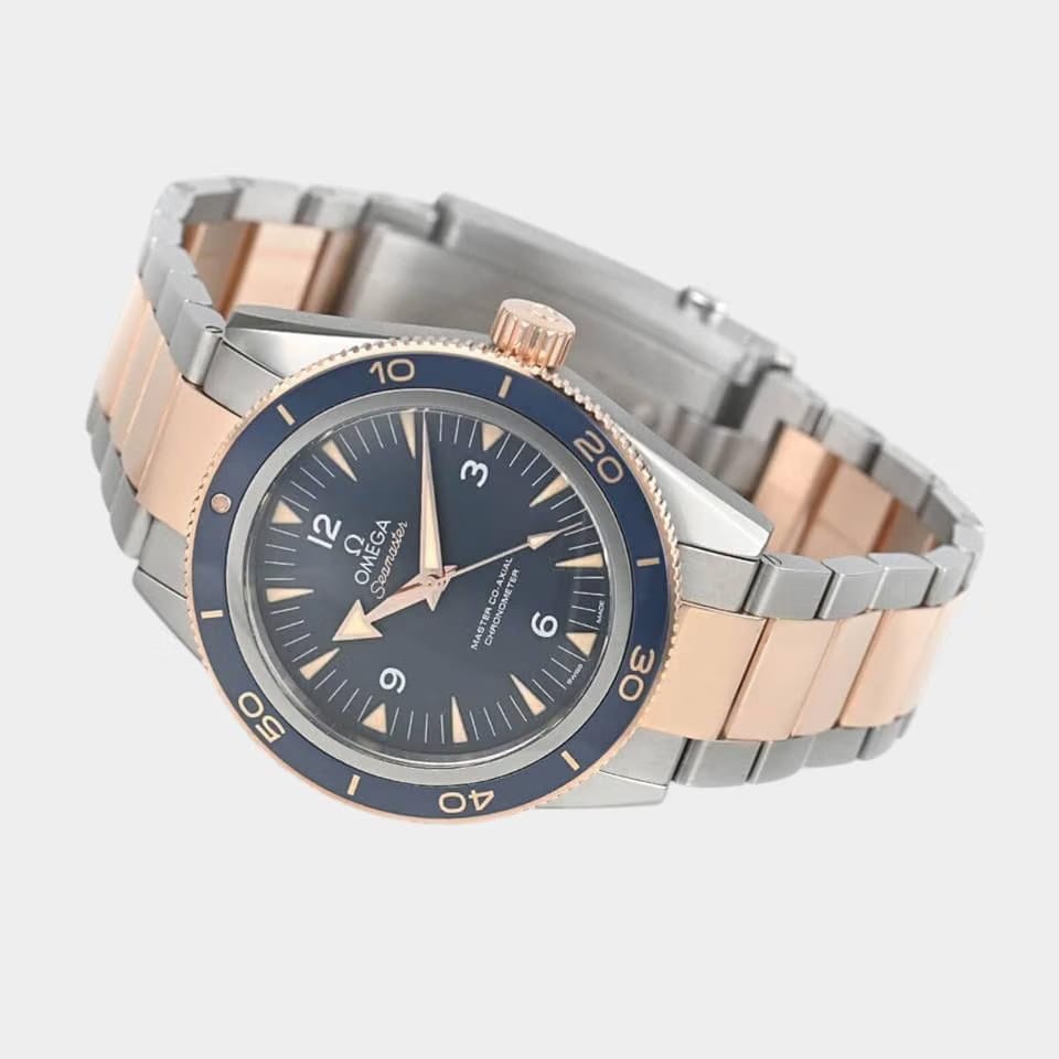 Omega Seamaster 300 Titanium&Sedna gold / 41 mm / 233.60.41.21.03.001