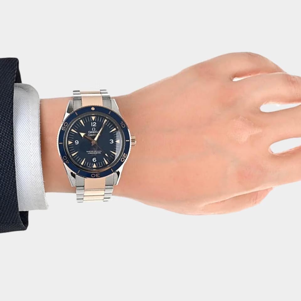 Omega Seamaster 300 Titanium&Sedna gold / 41 mm / 233.60.41.21.03.001