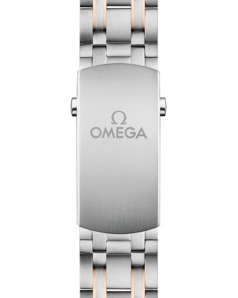 Omega Seamaster Diver 300 M42mm 210.20.42.20.01.001