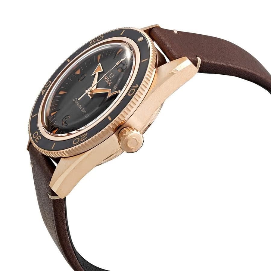 Omega Seamaster 300 Men's 234.92.41.21.10.001 Seamaster 300 41mm Automatic