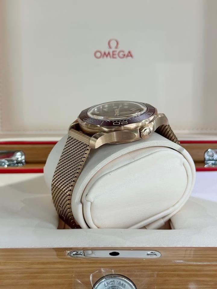 Omega Seamaster Diver 300 MMaster Chronometer Gold
