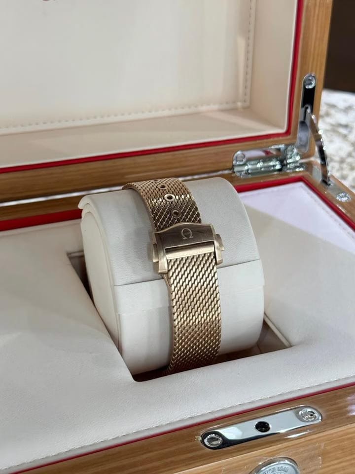 Omega Seamaster Diver 300 MMaster Chronometer Gold