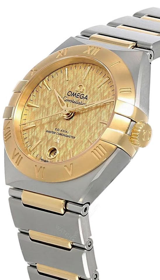 Omega Ref. 131.20.29.20.08.001