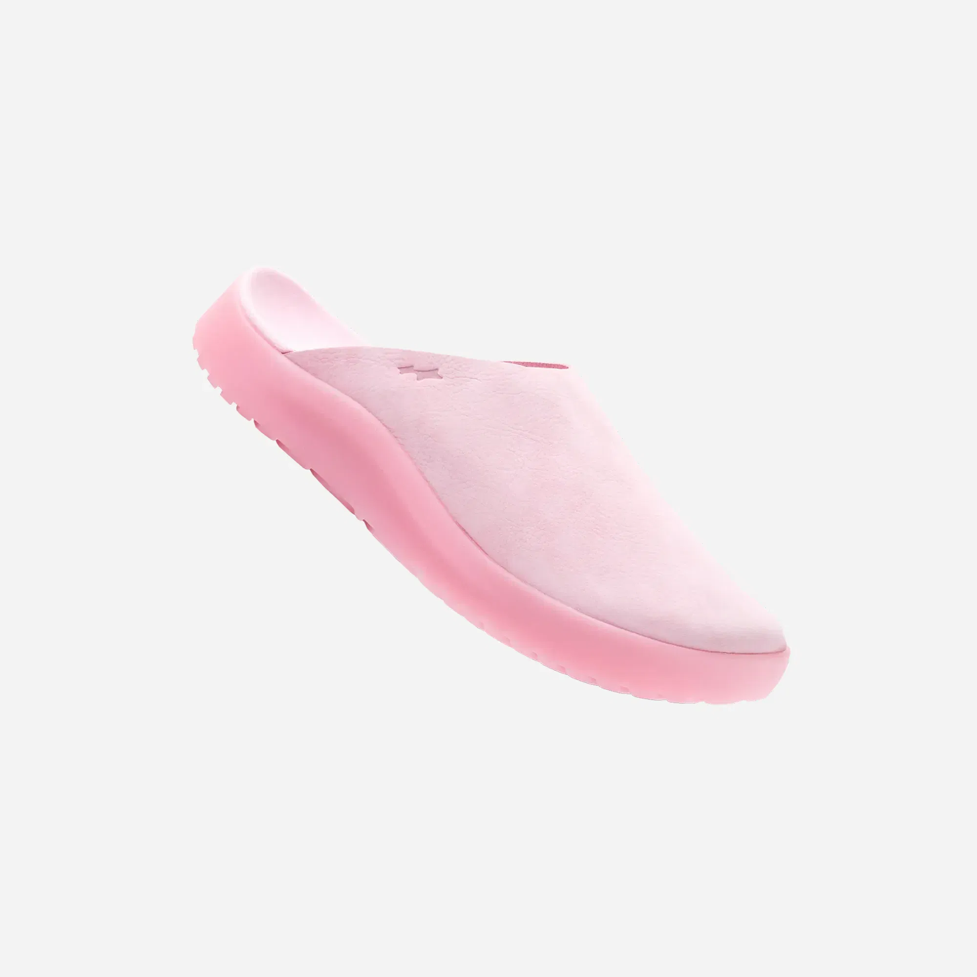 Skylrk Sunken Mule Coral