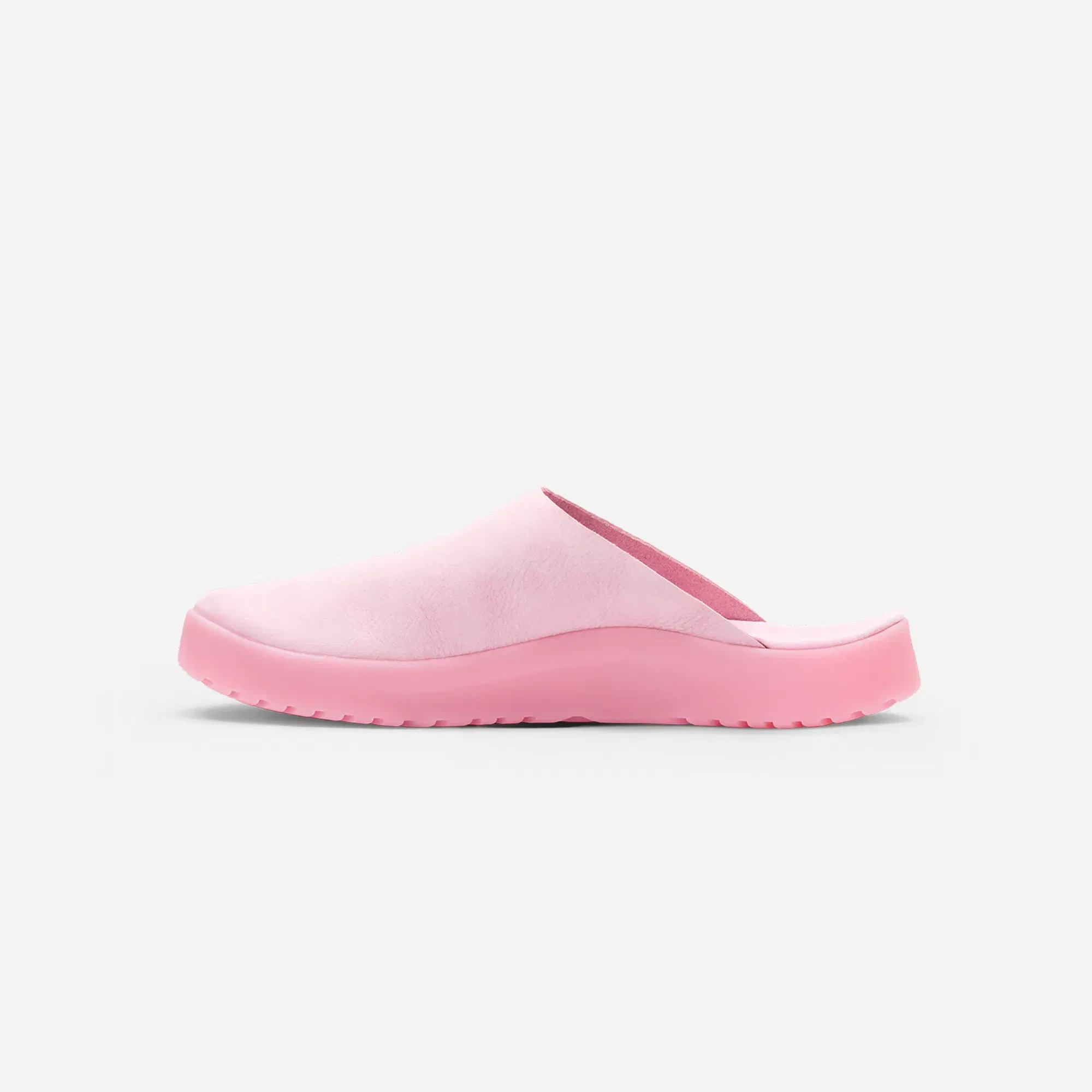 Skylrk Sunken Mule Coral