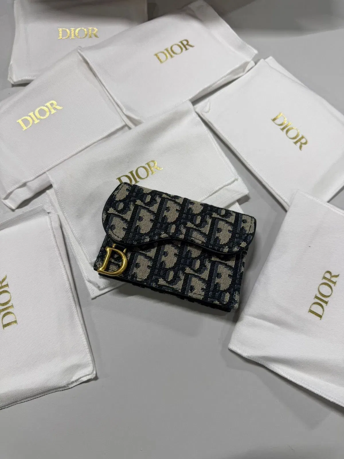 Dior Saddle Card Holder (Brand new in dust bag)