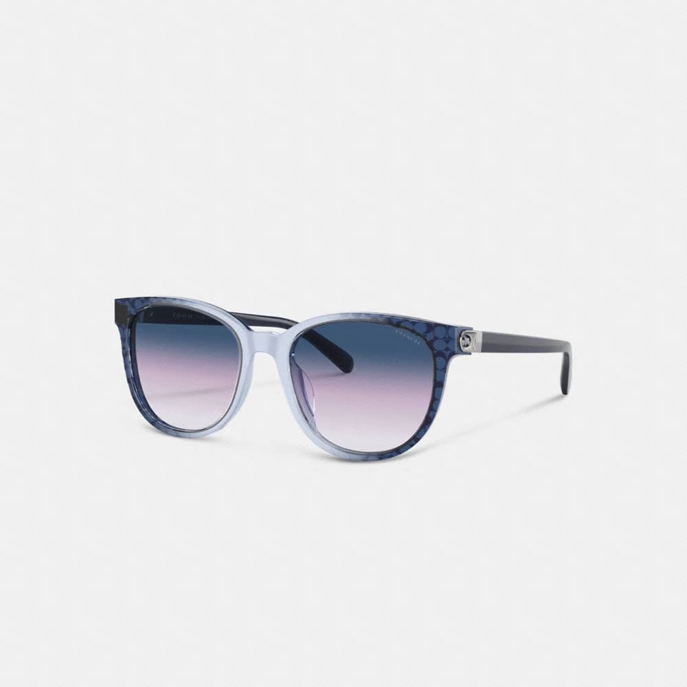 Horse And Carriage Round Sunglasses