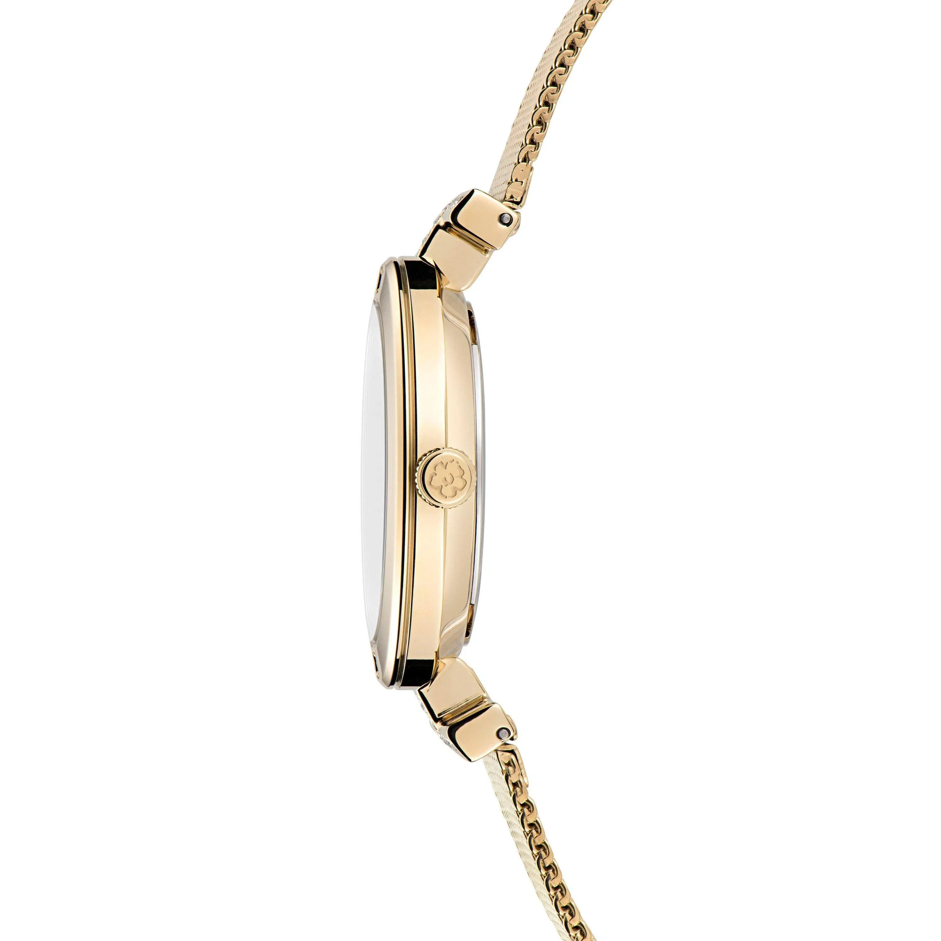 Darbey Quartz Analogue Watch