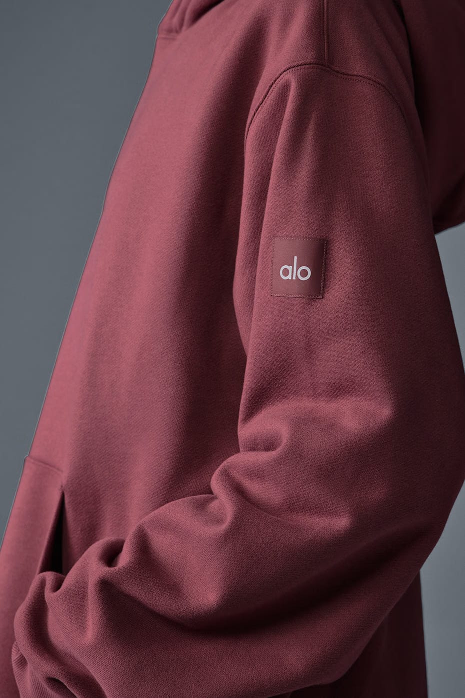 Renown Heavy Weight Hoodie