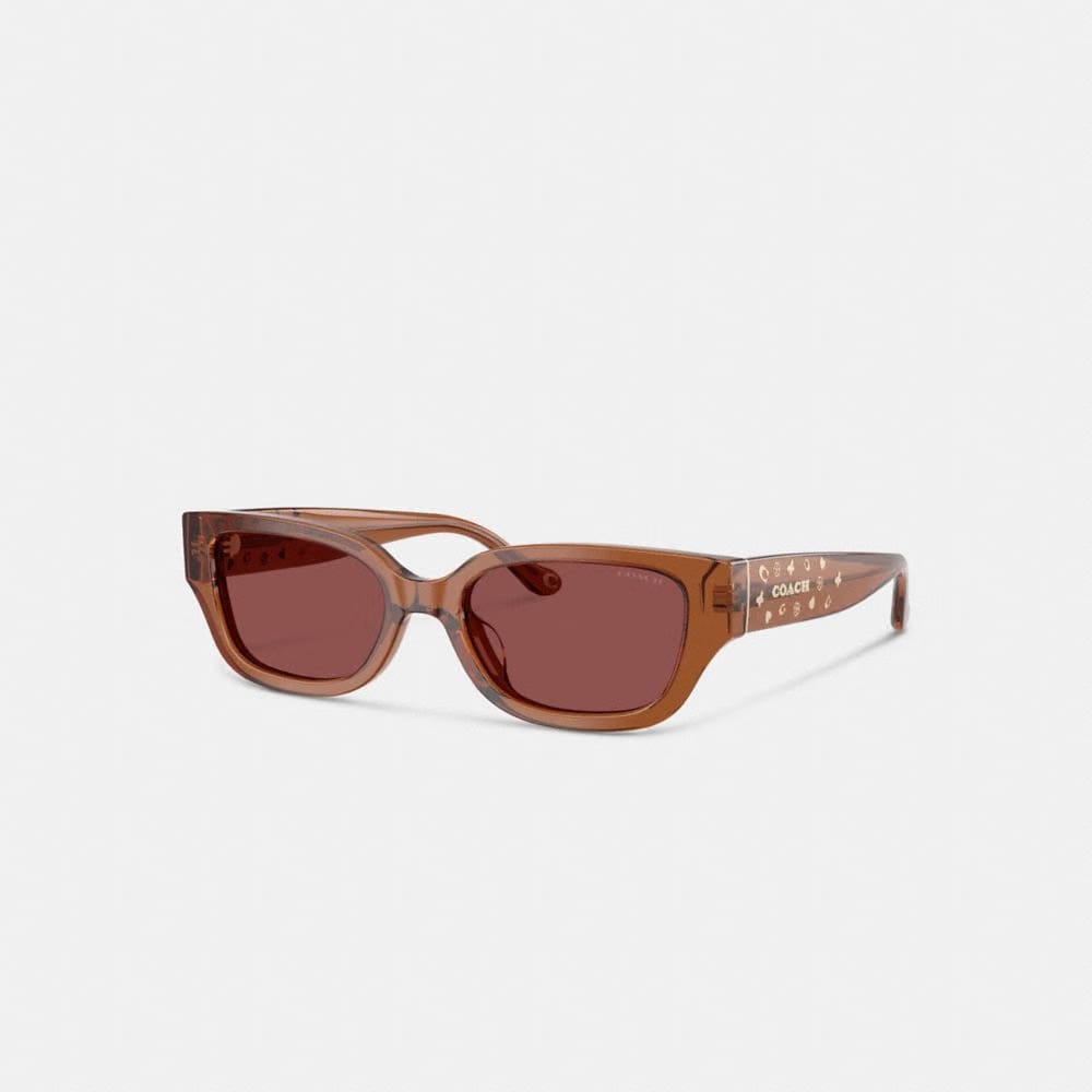 Charms Narrow Rectangle Sunglasses