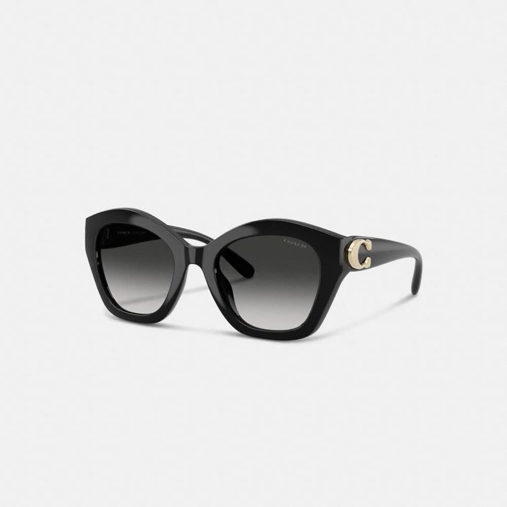 Maxi Sculpted C Oversized Geometric Sunglasses