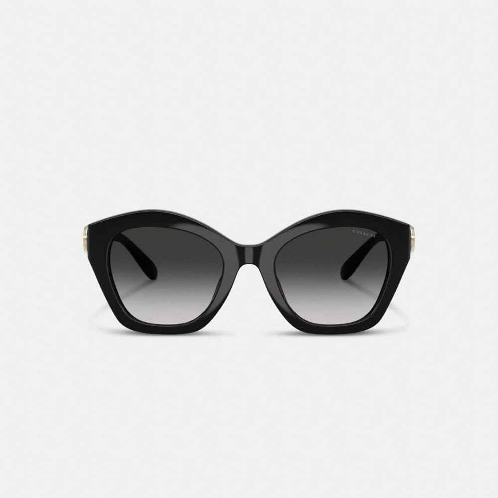 Maxi Sculpted C Oversized Geometric Sunglasses