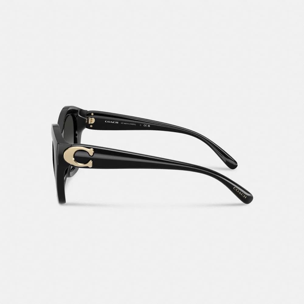 Maxi Sculpted C Oversized Geometric Sunglasses