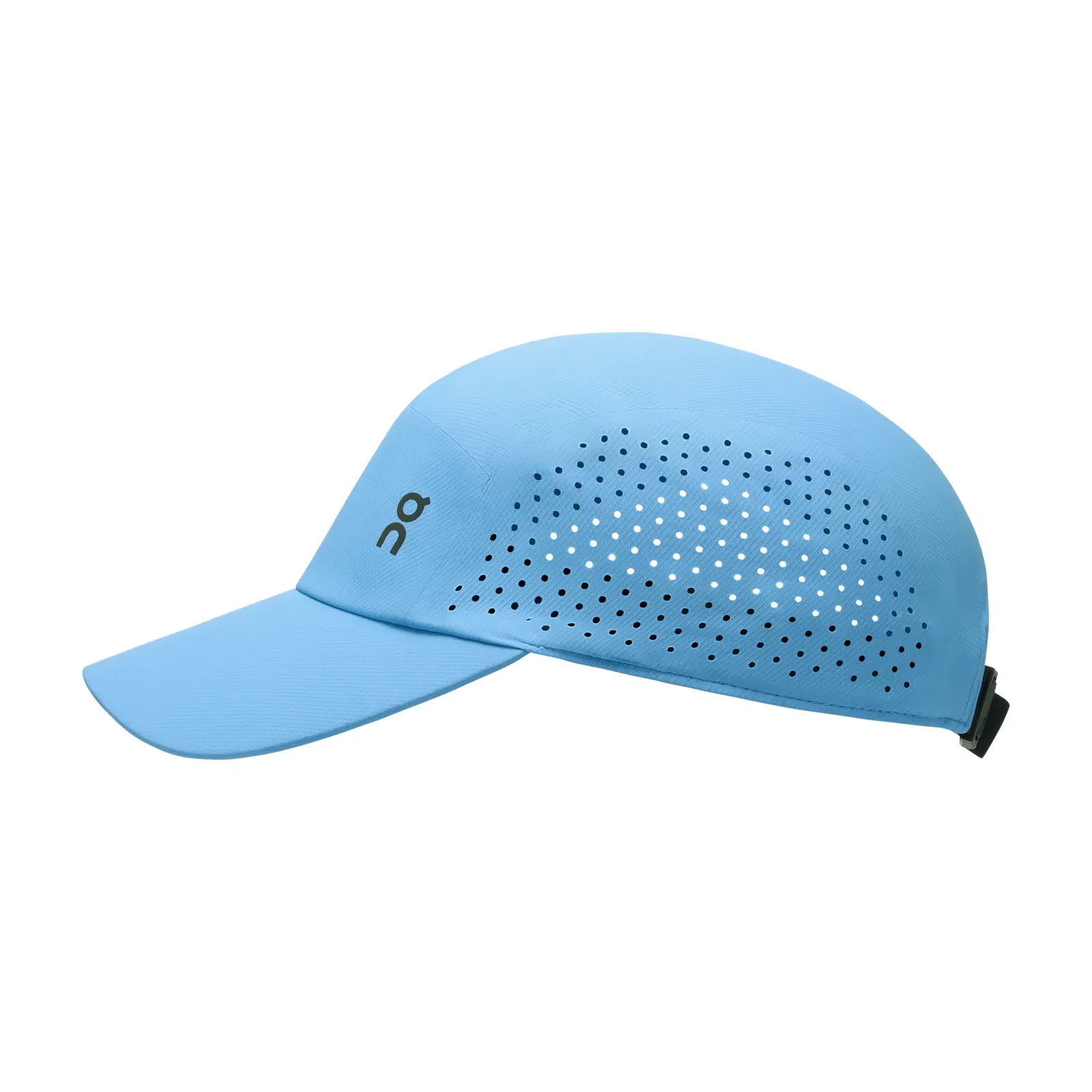 On Lightweight Cap Gourami