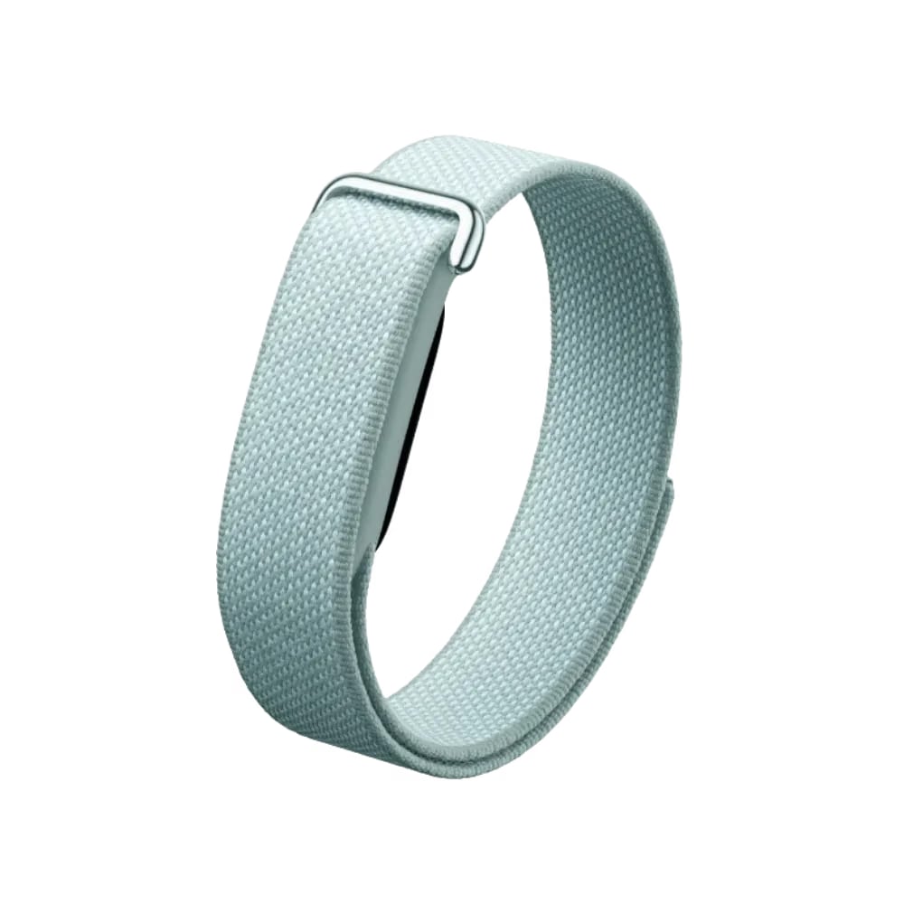 Google Fitbit Air "Fog"