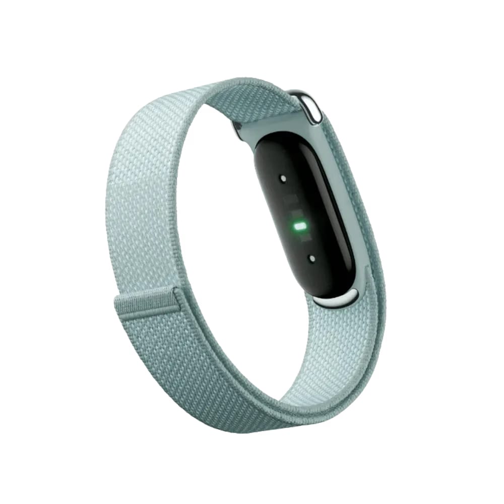 Google Fitbit Air "Fog"