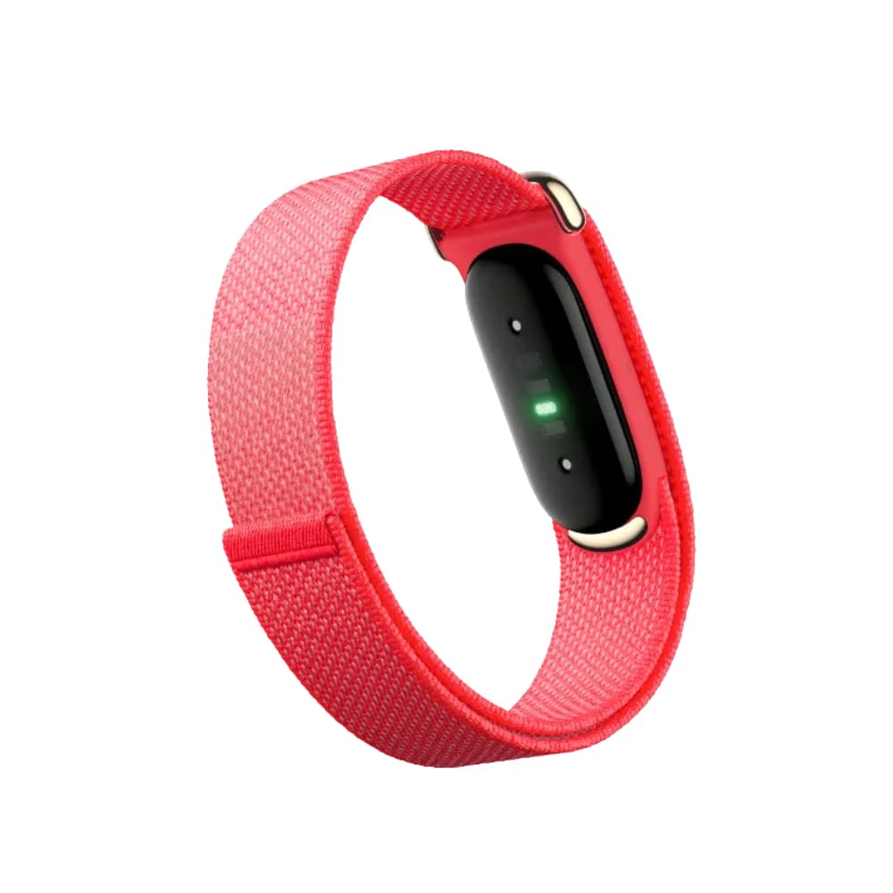 Google Fitbit Air "Berry"