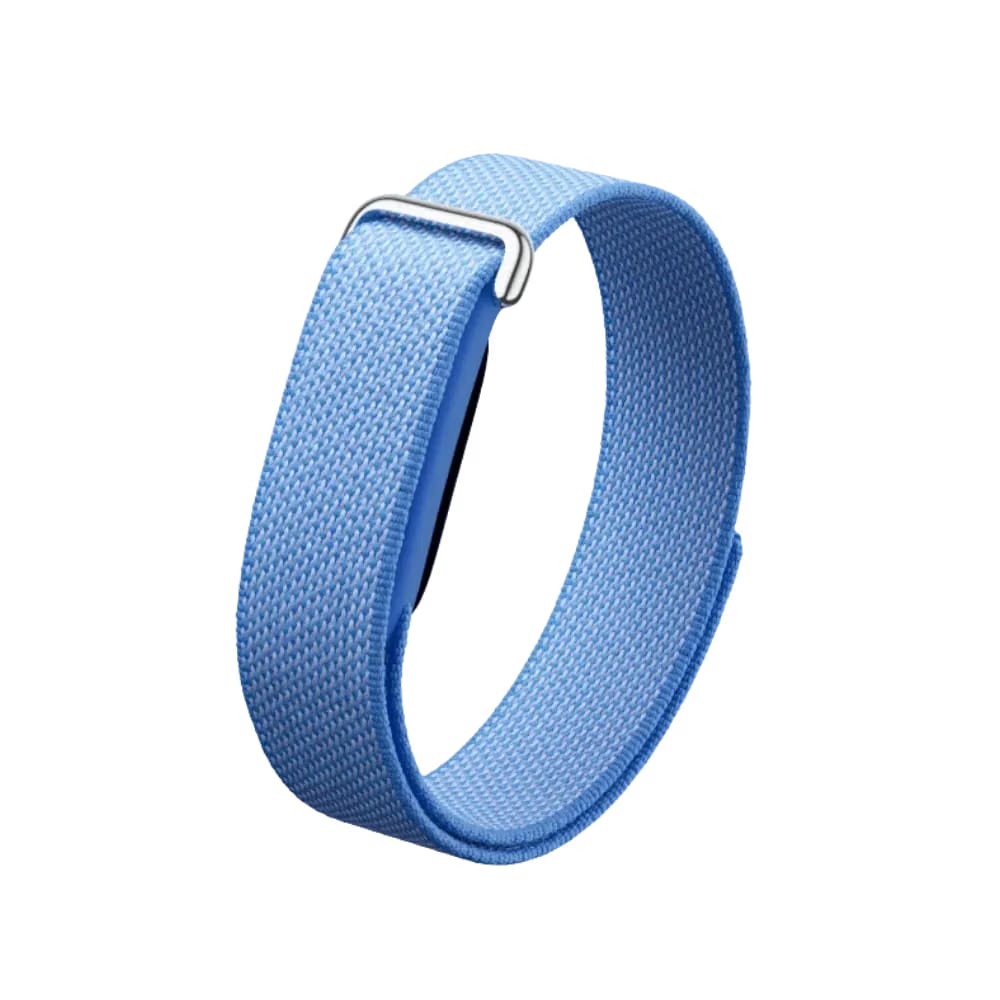 Google Fitbit Air "Lavender"