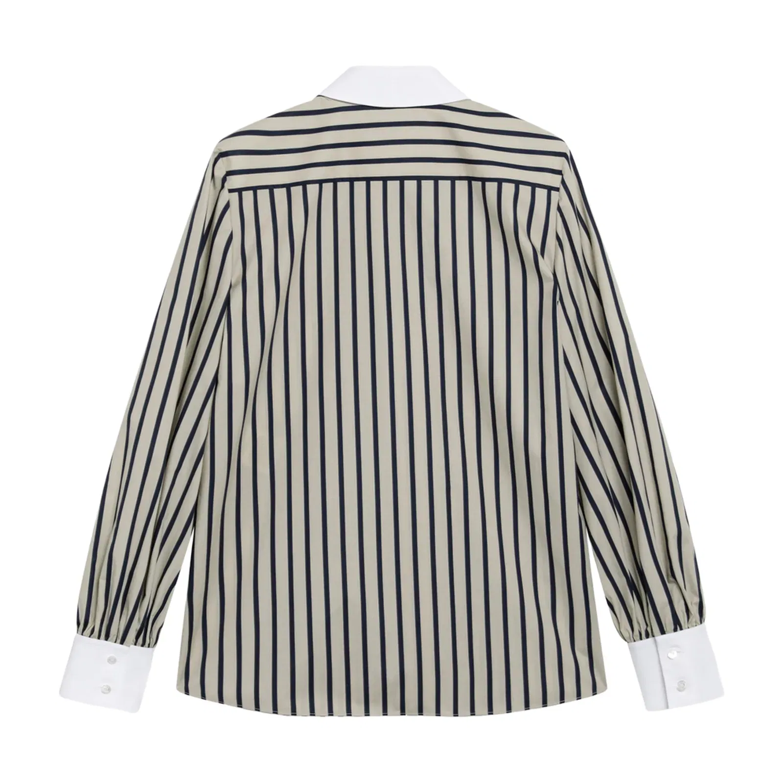 Striped Cotton Shirt With Scarf In Beige And Blue
