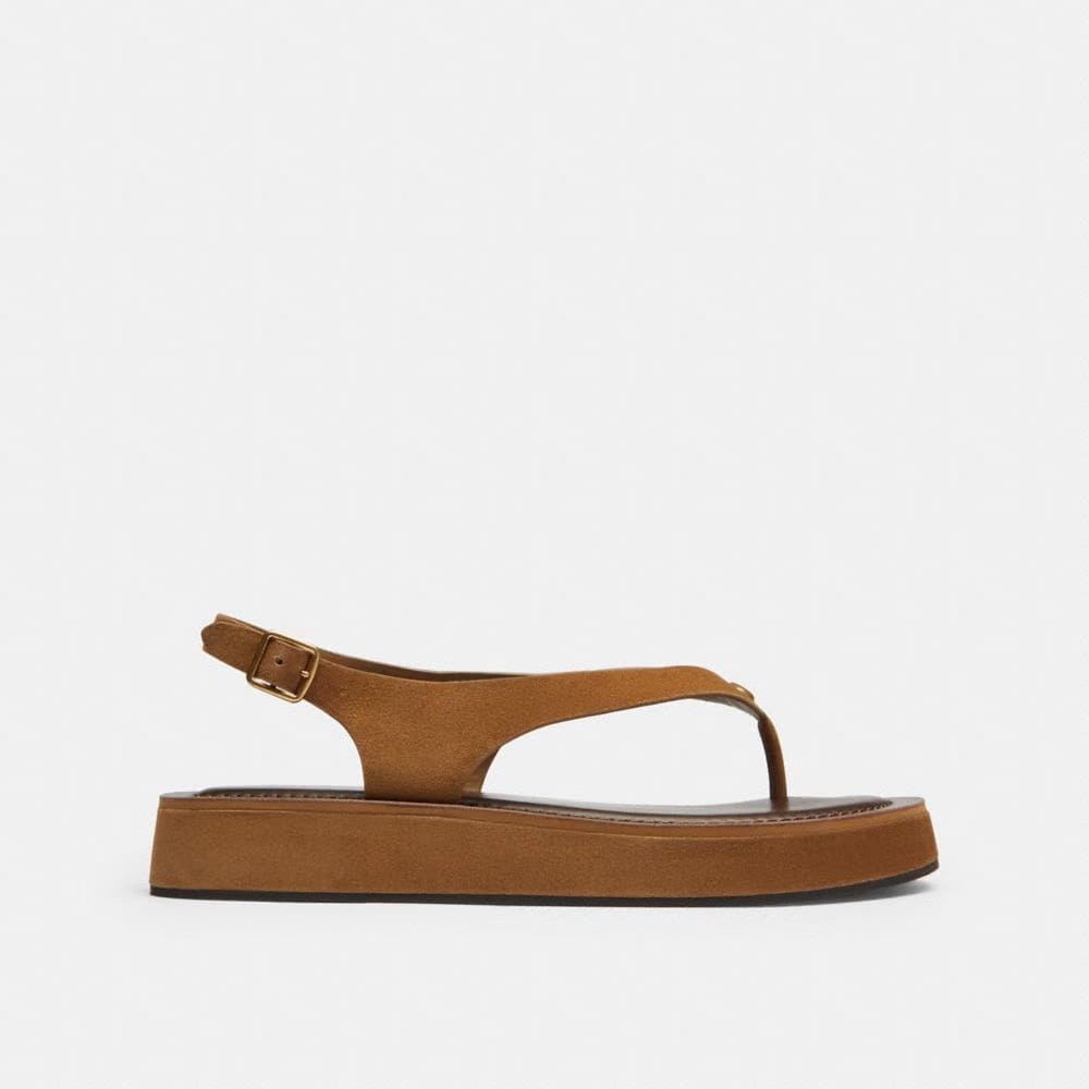 Women's Coach Sculpted C Platform Thong Sandal Coconut