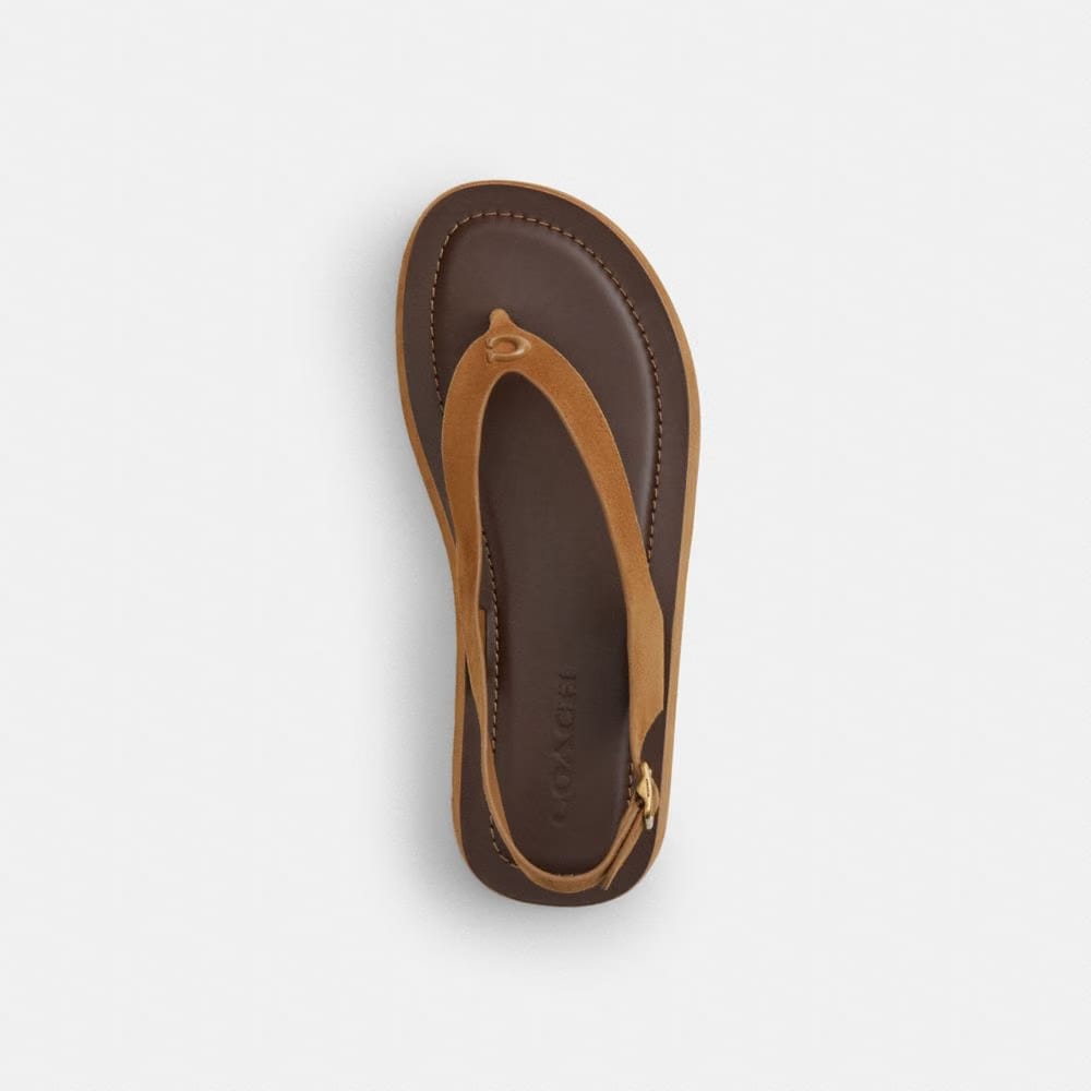 Women's Coach Sculpted C Platform Thong Sandal Coconut