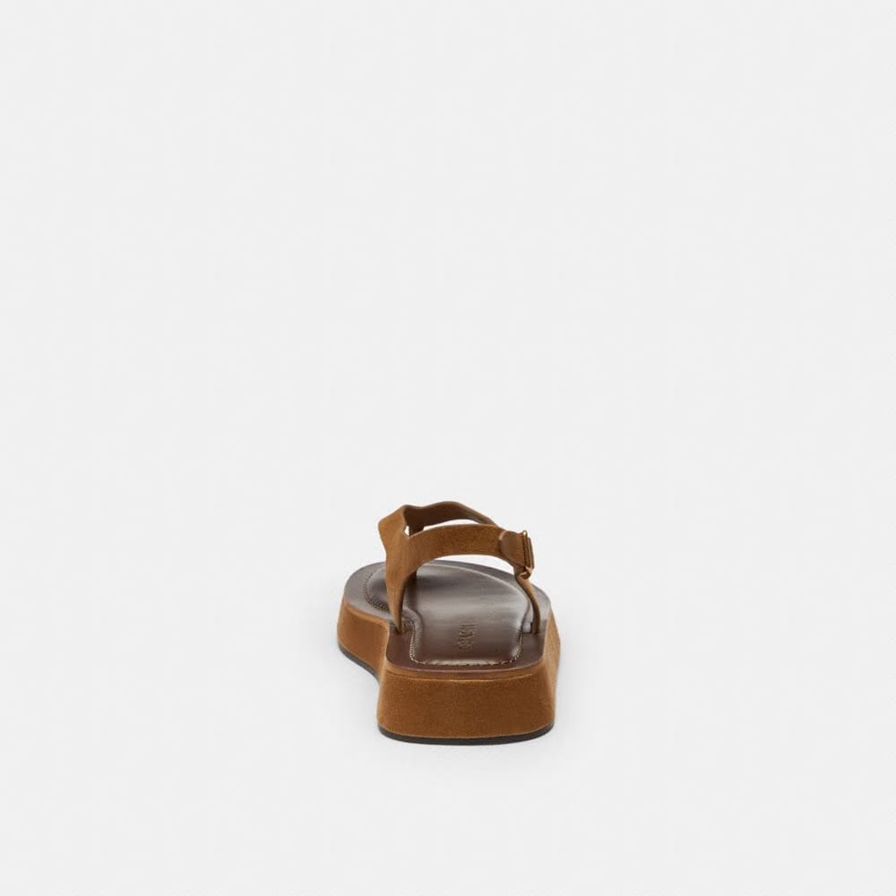 Women's Coach Sculpted C Platform Thong Sandal Coconut