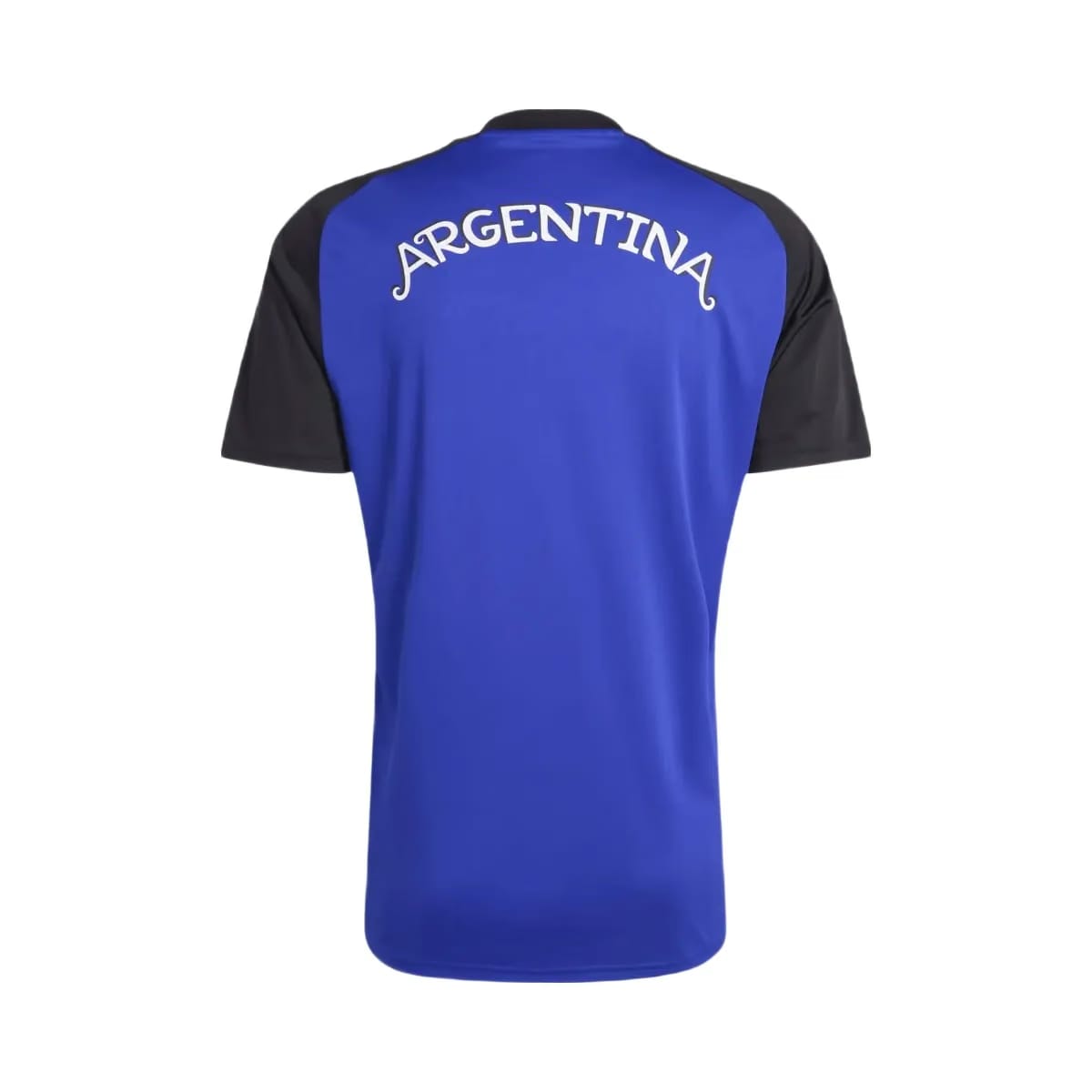 FIFA 2026 Argentina 26 Away Pre Match Jersey - Men's