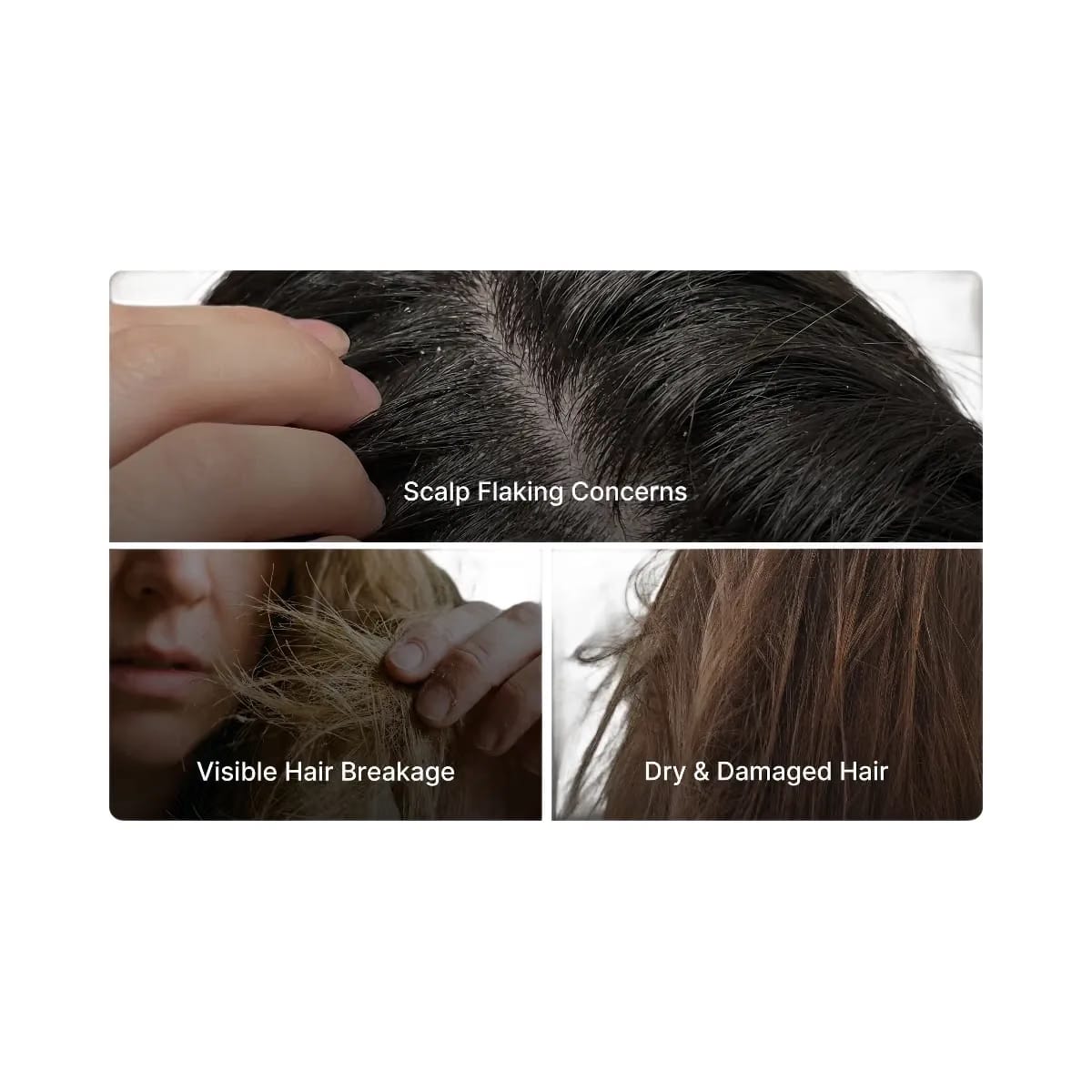 Medicube Rosemary PDRN Cooling Thickening Shampoo
