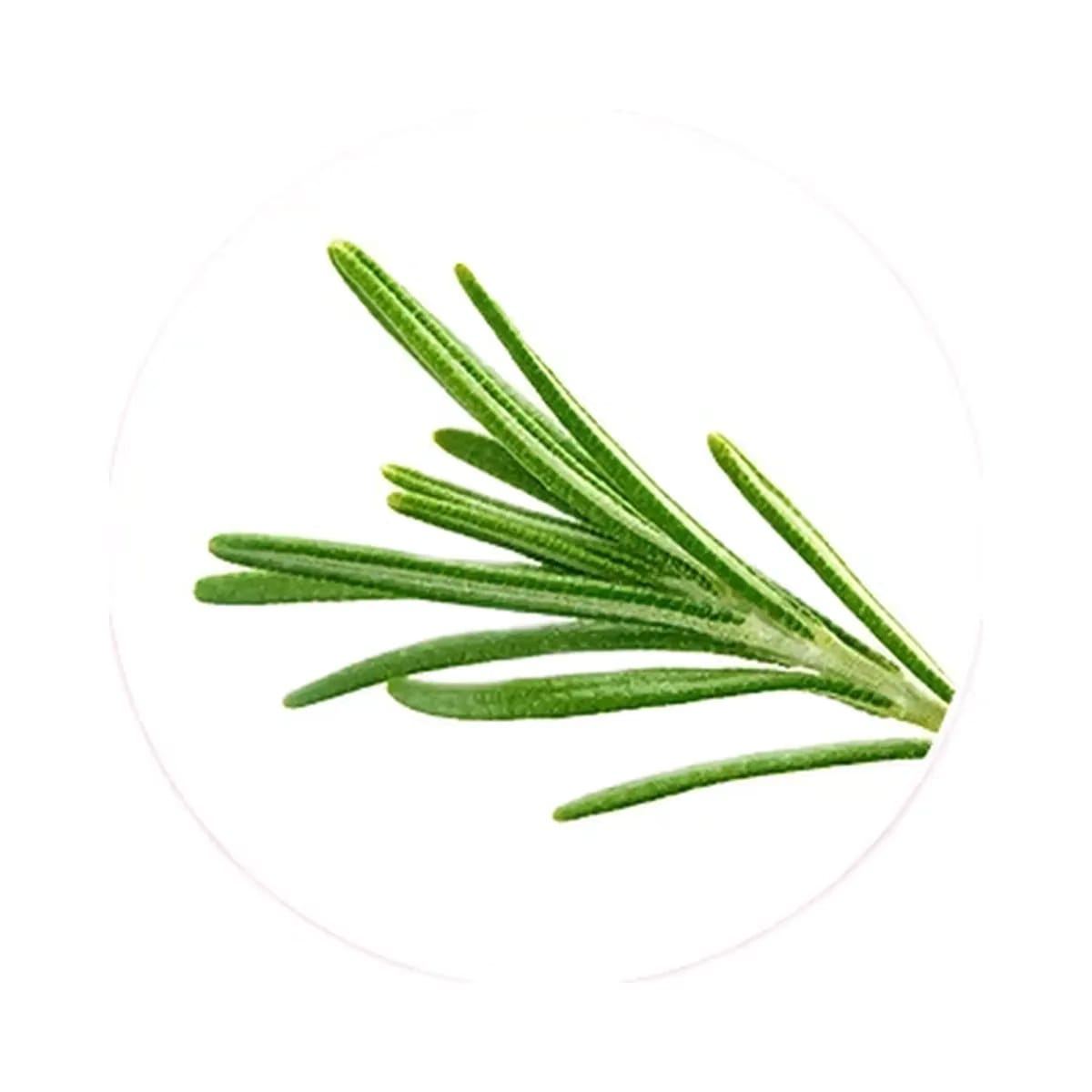 Medicube Rosemary PDRN Scalp Serum