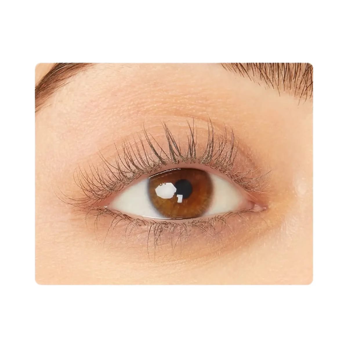 Tarte Maneater Lash Curler Set