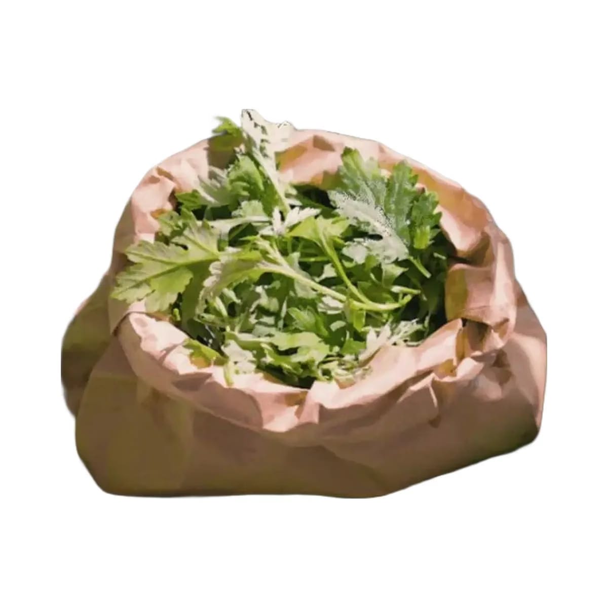 I'm From Mugwort Gel Cleanser