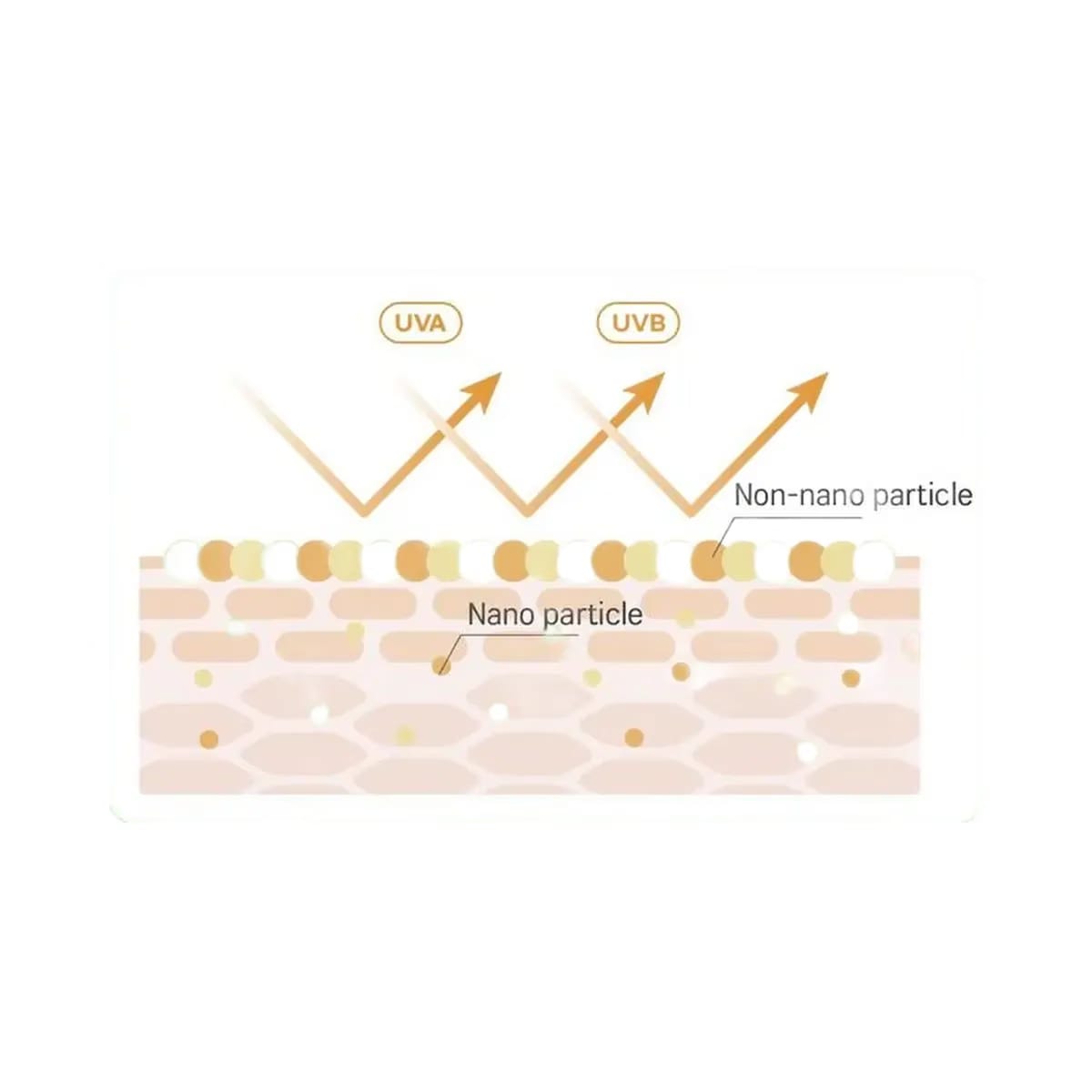 ROUND LAB Birch Juice Mild-Up UVLOCK SPF 50