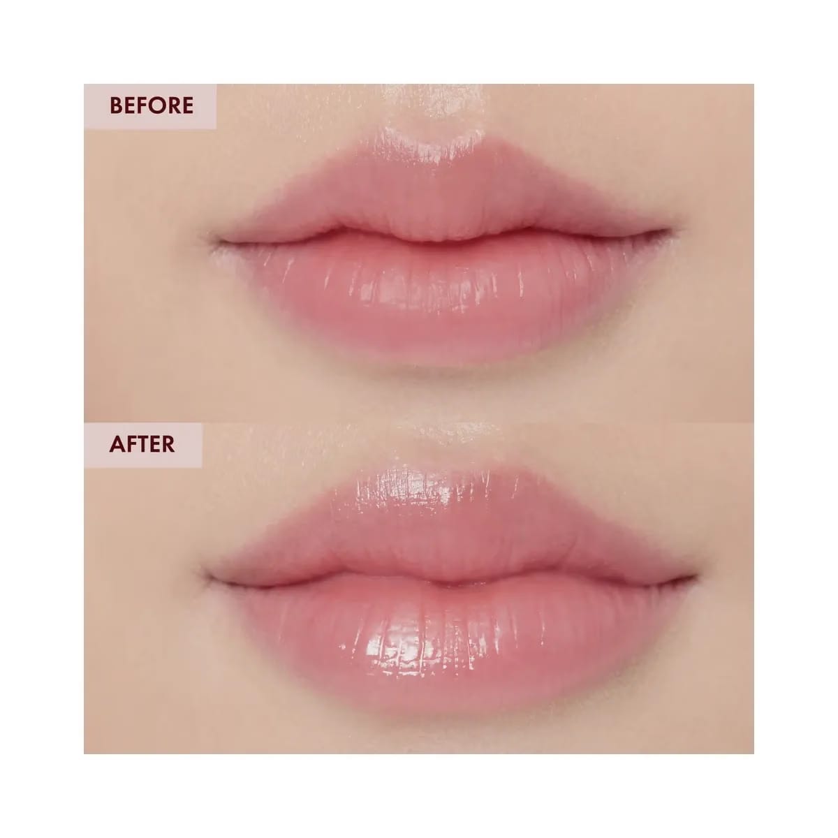 TONYMOLY Timeless Ferment Snail Lip Sleeping Mask