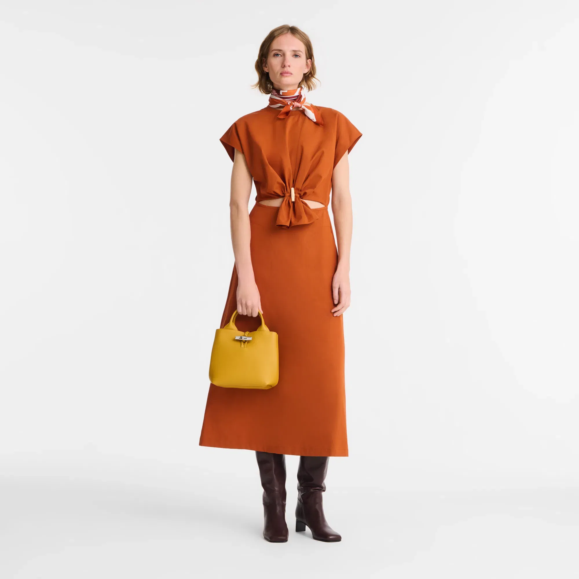 Longchamp Le Roseau S Handbag Nutmeg