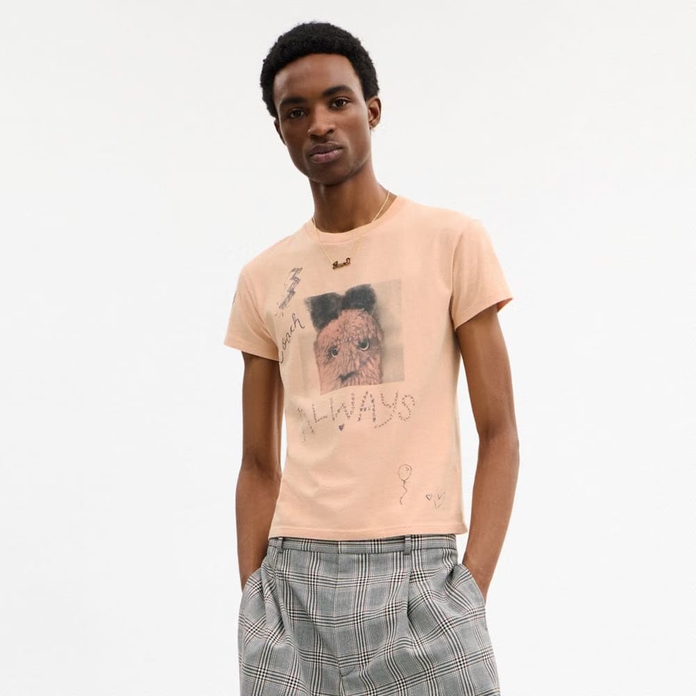 Coach Carroty Shrunken T-Shirt In Organic Cotton Light Orange