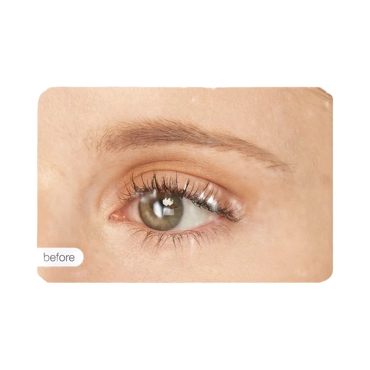 Tarte Maneater Emphaseyes High Definition Brow