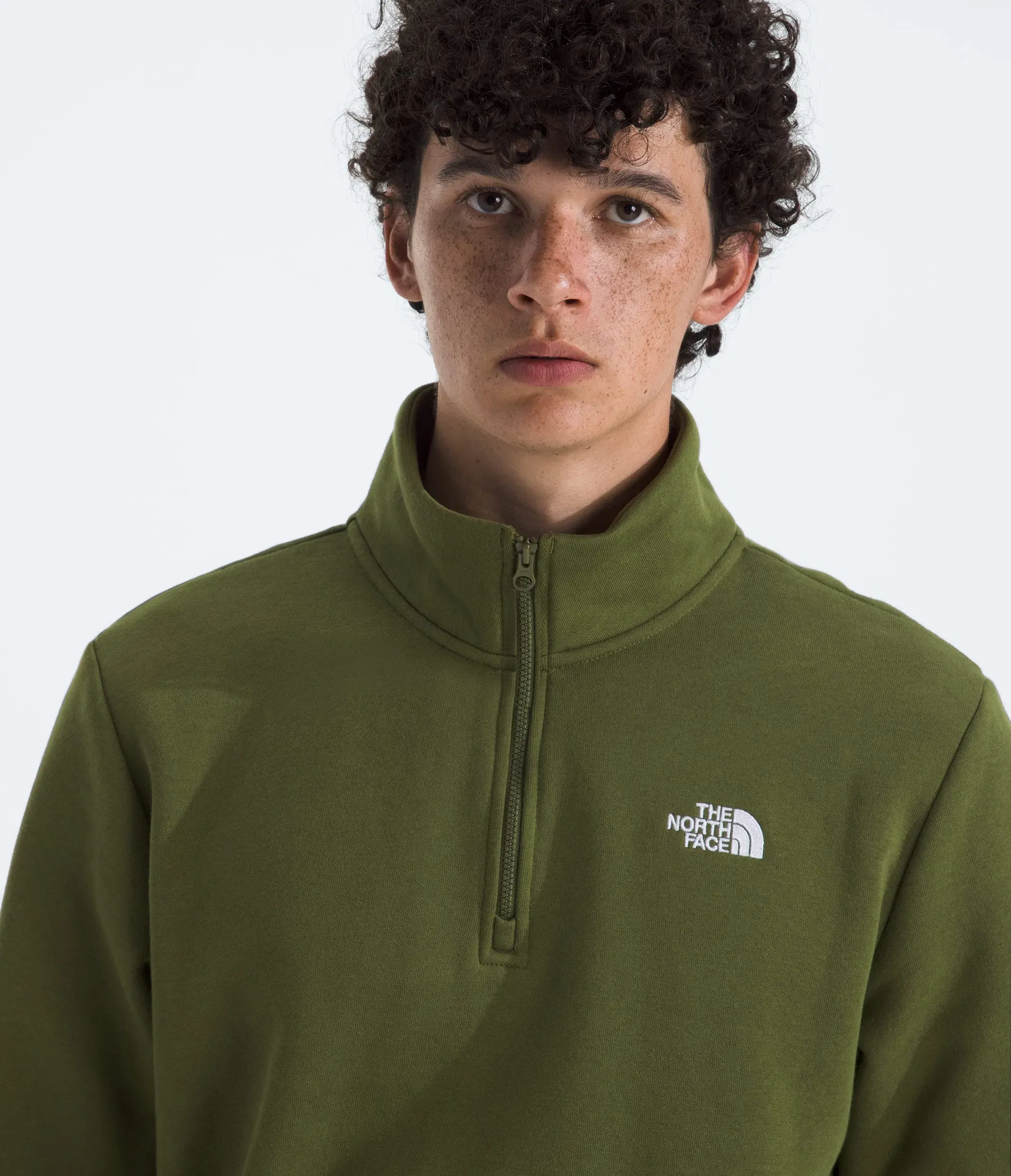 The North Face Men’s Evolution Simple Dome Regular ¼-Zip Woodland Green