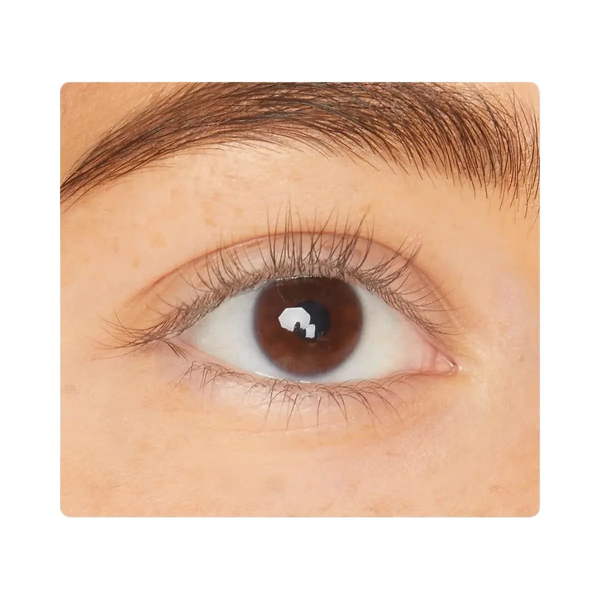 Tarte Lights Camera Lashes 4 Piece Collectors Vault