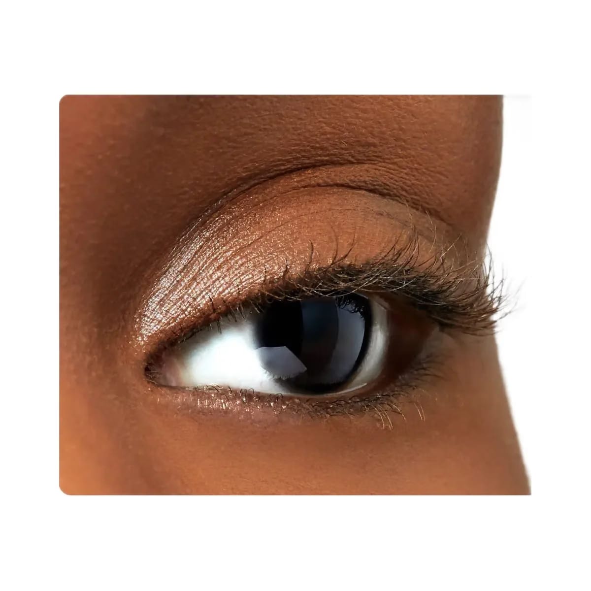 Tarte Lights Camera Lashes 4 Piece Collectors Vault