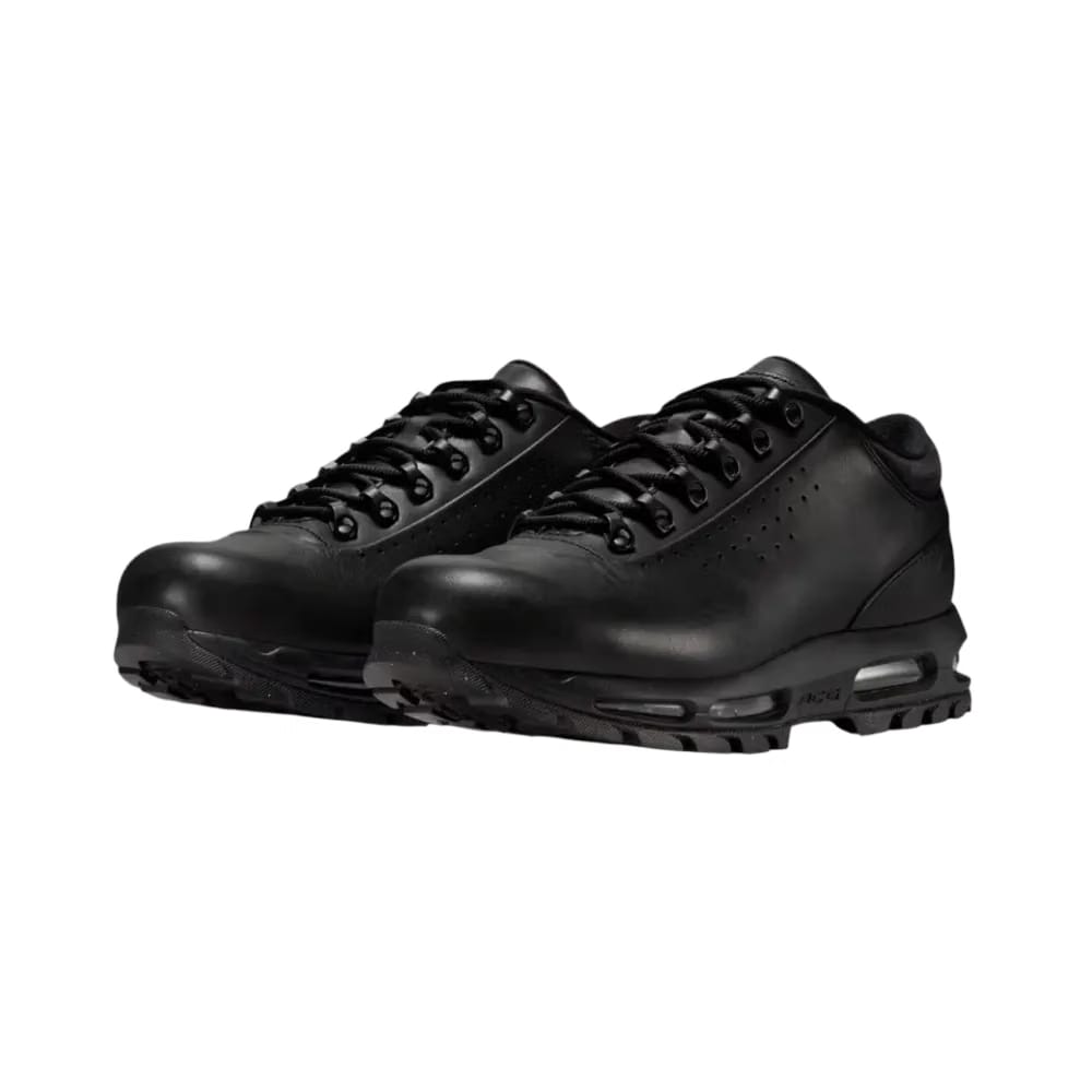 Nike Air Max Goadome Low “Black”