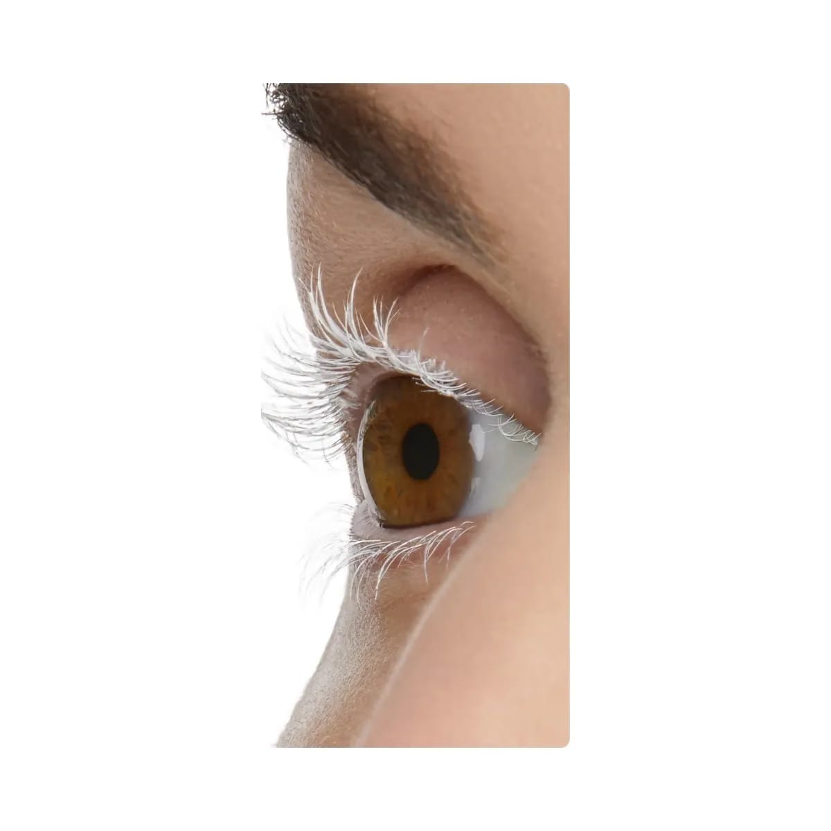 Tarte Opening Act Lash Primer
