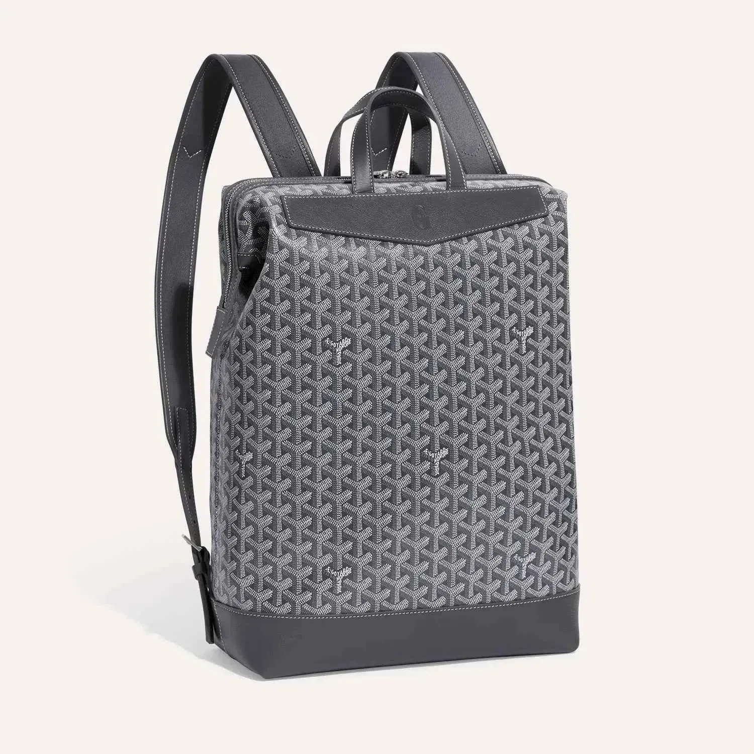 Cisalpin Backpack
