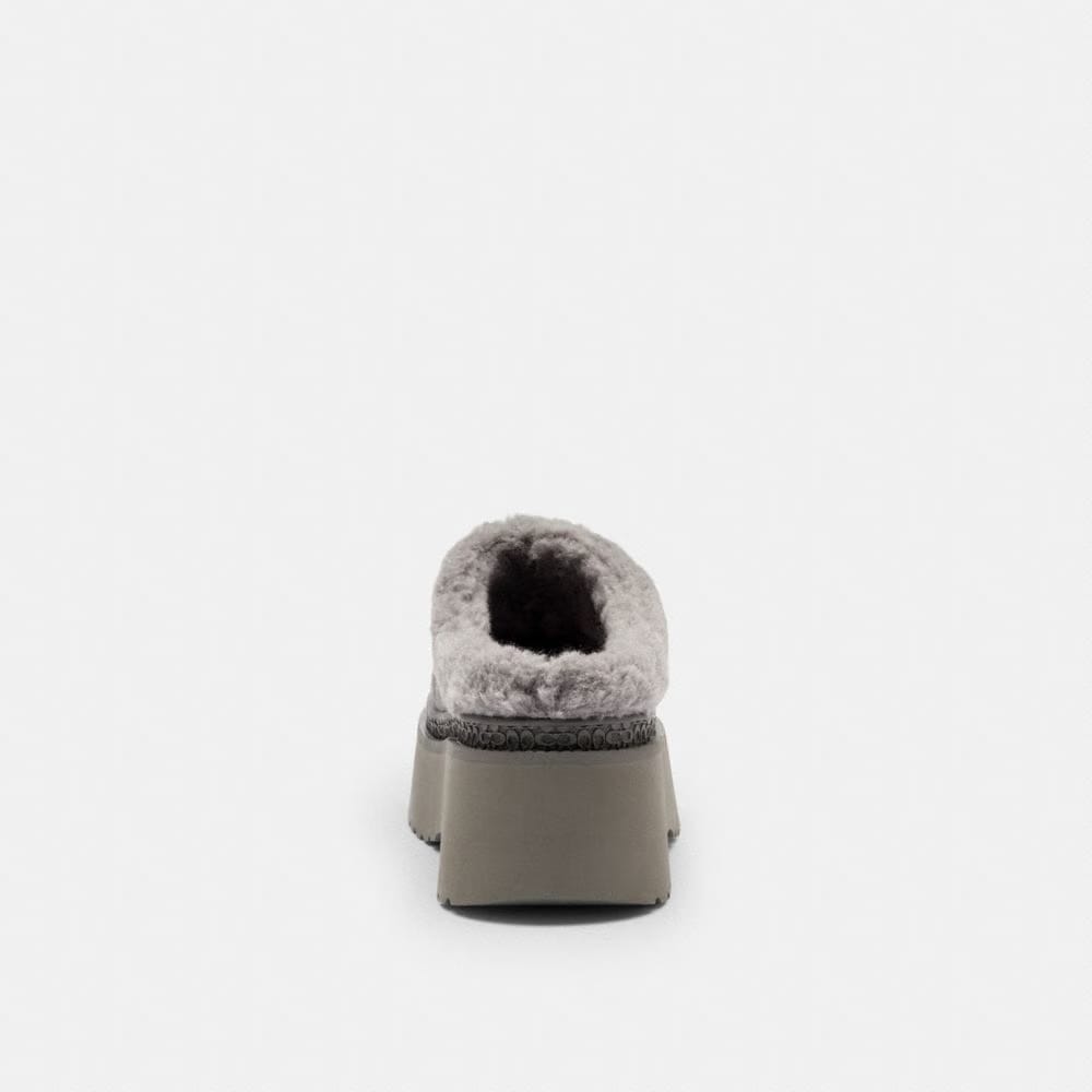 Women's Coach Cecelia Clog In Signature Suede Charcoal