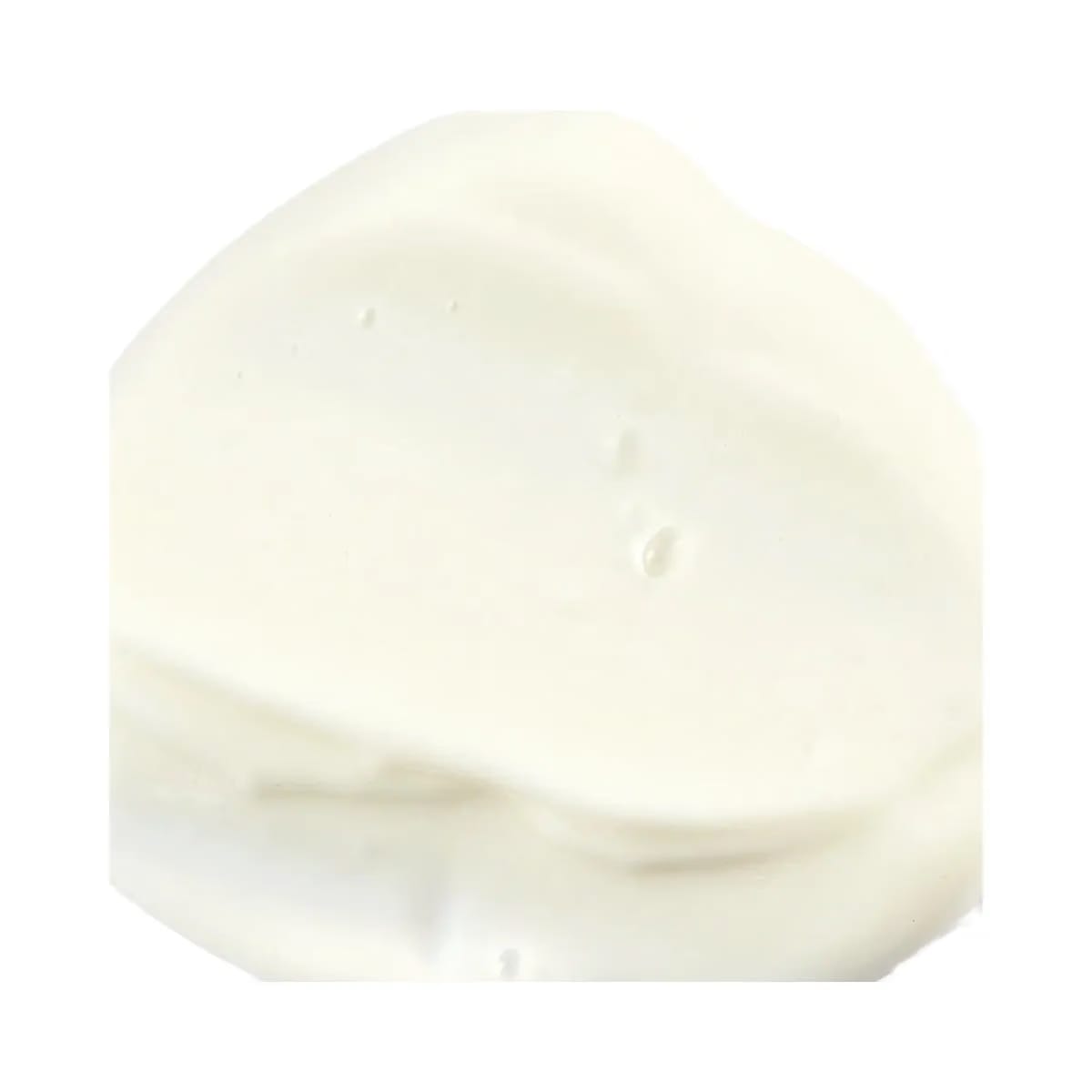 INKEY Bakuchiol Retinol Alternative Moisturizer